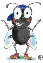 A cartoon of a fly with a hat on.