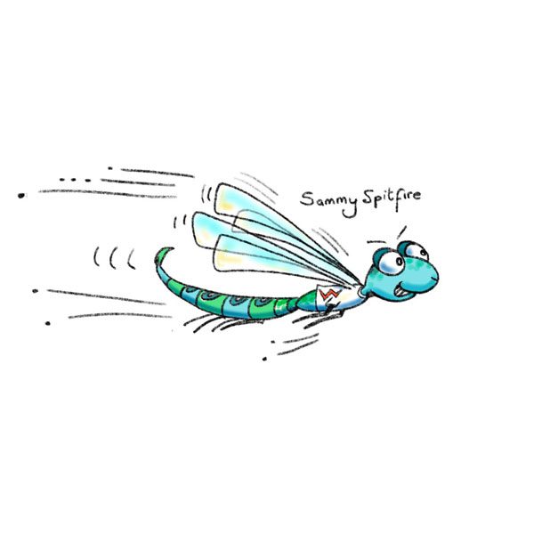 A drawing of a bug with the words " sunny up here ".